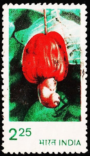 INDIA 2.25RS APPLE USED STAMPS