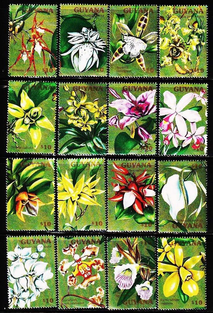 GUYANA 1990 ORCHIDS 16V SET MINT NH STAMPS