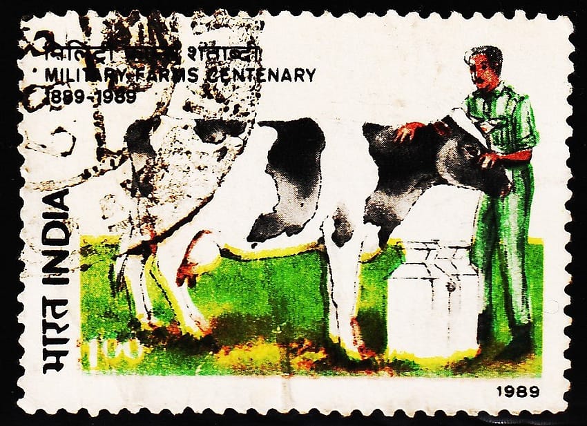 INDIA MILITARY FARMS CENTENARY USED STAMPS