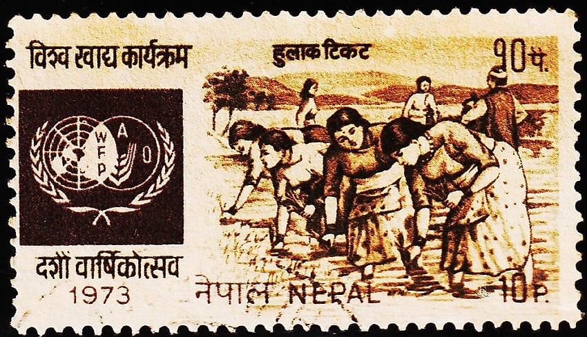 NEPAL FAO USED STAMPS