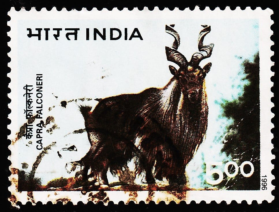 INDIA 1996 HIMALAYAN ANIMAL USED STAMPS